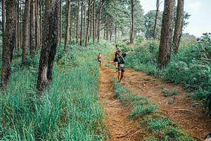 BIB: 
                            <button type="button" onclick="openModal(25655265)" class="btn btn-primary btn-sm float-right btn-popup" data-toggle="modal" data-target=".modal-high-quality">
                        <i class="fas fa-shopping-cart"></i> Add to Cart
                    </button>
                                            <button type="button" onclick="isThisMe(25655265, true)" class="btn btn-success btn-sm float-right btn-popup btn-isme hidden" data-toggle="tooltip" data-placement="bottom" title="นี่คือรูปของคุณใช่ไหม คลิกที่นี่เพื่อเอาเข้าอัลบั้ม">
                        <i class="fas fa-plus"></i> Add to album
                    </button>
                    <button type="button" onclick="isThisMe(25655265, false)" class="btn btn-warning btn-sm float-right btn-popup btn-isnotme hidden">
                        <i class="fas fa-ban"></i> Remove from album
                    </button>